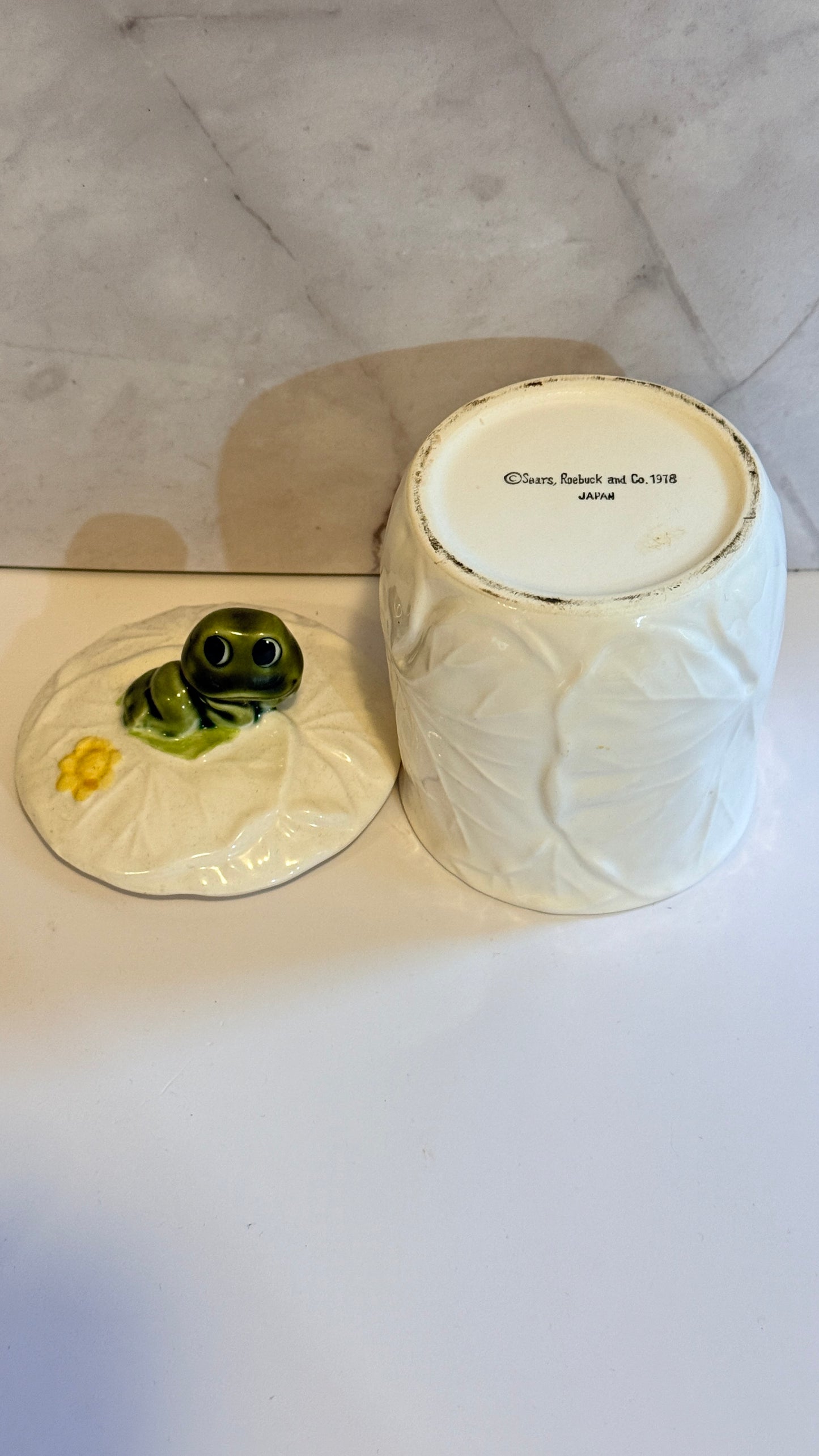 Neil the Frog Mini Canister